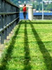 linee