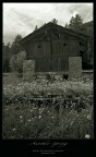 Another Spring