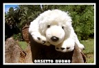 Vi presento Orsetto Buono, l'ultimo della cucciolata. E' arrivata la primavera e l'ho portato a fare due passi nel parco.. Ha subito iniziato ad arrampicarsi ovunque e a scavare le buchette.. Tra pochi giorni far 4 mesi ma  gi pestifero... Dato che viaggia sempre con me, prometto che questa sar la prima di una lunga serie...