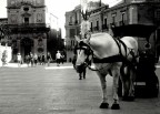 Pzza duomo di Siracusa
