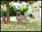 Lumix FZ30
800X600