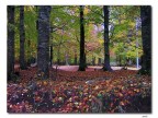 Autunno