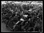 Biciclette a Venezia