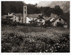 Foroglio...