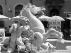 NAVONA