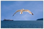 Sul Mare