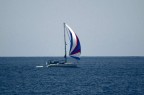 Vela