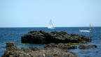 Vela che passione!!!