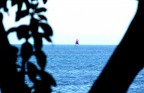 Visuale