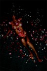 Bed of flowers
