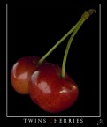 gemelle