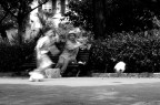 Movimento