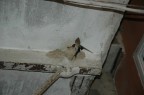 colta al volo in un carugio. mi sono girato e ho scattato. 
peccato la limitata attrezzatura e bravura.