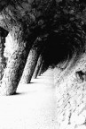 Parc Guell #2