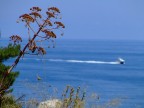 Mediterraneo