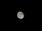 E' il mio primo scatto alla luna e diciamo che  uno dei miei primi scatti in assoluto.
La foto  stata fatta con una Fuji S5600 1/125 f4 100Iso
Ciao a tutti