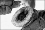 eos 20d, 90 2.8 macro tamron, iso100, 1\200, f.4