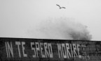 marinai