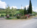 Sfondo