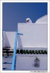 Terrazza Tunisina