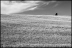 Solitudine