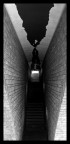senso di illusioni