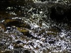 Acqua...