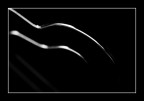 Linee di Niente