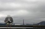 un'insolita veduta del Golden Bridge: anche se il tempo non  dei migliori a volte si possono trovare spunti interessanti :-)