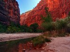 Red Zion