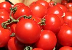 Rosso Pomodoro