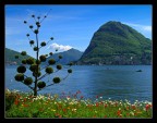 il mio paradiso