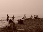 normalit in spiaggia...