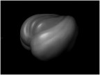 Tribute to Edward Weston