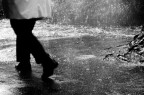 La solitudine