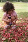 between the pink flowers