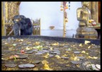 monete e foglie d'oro