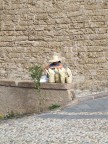 Passeggiata sulle fortificazioni di Alghero...