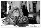 Prova B&W
