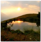 alba alpina alba alpina