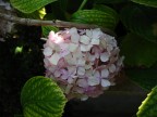 Prova Macro!