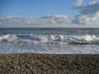 mare