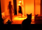 silhouettes