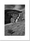 White Stream - B/W
