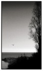 LIBERO DI VOLARE