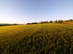 Oly E1, 7-14 a 9 mm, 1/1250, F 5,6, 100 ISO, conversione da Raw