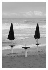 Sad summer's end