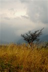 arriva il temporale