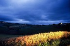 la campagna vista con colori diversi