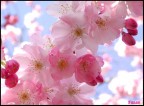 Il ritorno della primavera